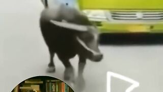 Top 4 Funny जानवर ???? - देखकर चौंक जाऔगे ???? - #shorts #funny #animal