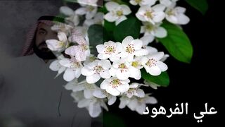 اجمل التلاوات الخاشعة