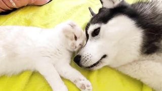 Beautiful Friendship Mutual Feelings