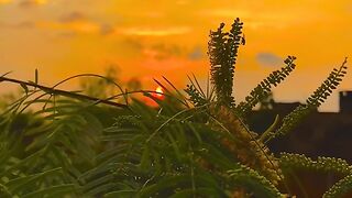 New Beautiful Romantic Video For Everyone