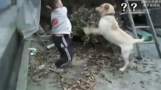Dog: Although I'm not a h