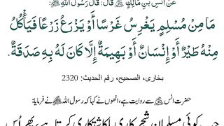 5th_June,Hadees,