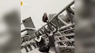Funny video#