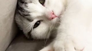 What a cute way to sleep