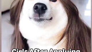 Funny girls 4