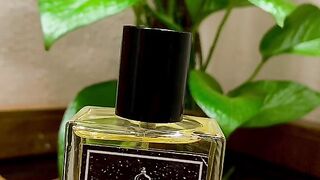 Customer Review of ALBASCO Our Impression of Si by Giorgio Armani 50 ml