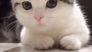 You are so cute.