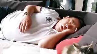 Funny cats video 5