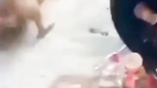funny video 157