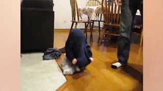 BEST Collection Cute Baby Of May 2023 || Baby Blunder
