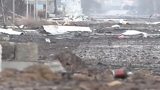 РУСНАЦИ ЗА РУССИЯ