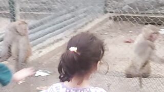 Zoo visiting