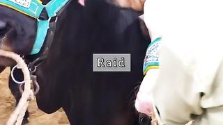 Qurbani 2