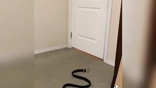 tik tok fails
