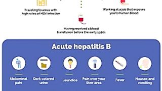 Hepatitis B overview