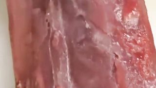 Worm parasites