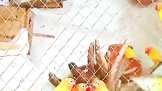 Bird's lover♥️ 4