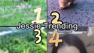 Who's Your Best?? ???? Who is Favorite? l Tiktok Compilation l Dance kucing meong meong