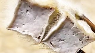 Famous hairy tofu