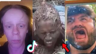 HOLDING YOUR LAUGH while Watching these video???? - Funny Cats Life 6
