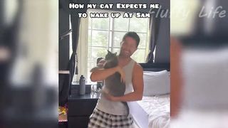 PH  Skip navigation    Sign in     0:01 / 22:07   Funniest Cats Videos That Will Make You Laugh ???? Best Funny Cats Videos Of 2023 ????????
