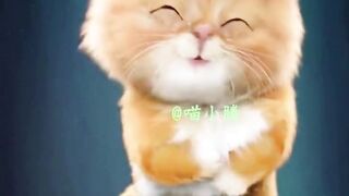 CUTE CAT BABY SHARK