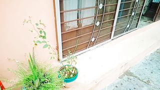 Plants in pots and home little garden ll and share beautiful weather today