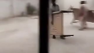 Funny video