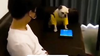 Dont disturb me
