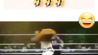 funny memes 12