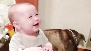 Baby Laughing Funny video Compilation ???? THIS IS HILARIOUS Cute baby