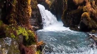 What a wonderful Nature