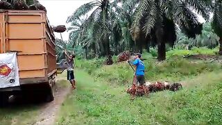 Worker