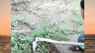 Funy vidio 2