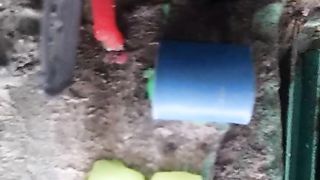 Ant house