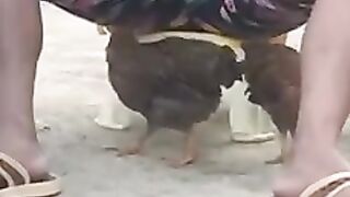 VID-20190201-WA0048-1.