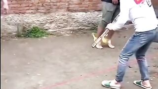 TRY NOT TO LAUGHING I Best Funny Videos Compilation 2023 # 215