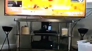 DOG WILL REMAIN DOG