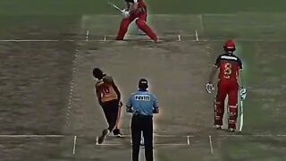 King devilliers