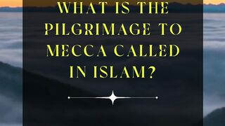 Question & Answer 4