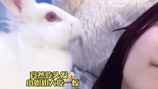 My sister keeps a little white rabbit as a pet, but when she grows up, it surprises people