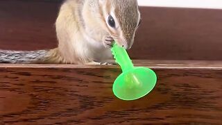 We need to have dinner# Young People's Petting Guide # Extreme Challenge of Eating, Drinking, and Playing