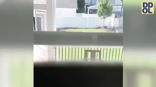 *1+ HOURS SPECIAL* Impossible Try Not to Laugh Challenge???? Funny Fails 2023| Best Fails of the Year!