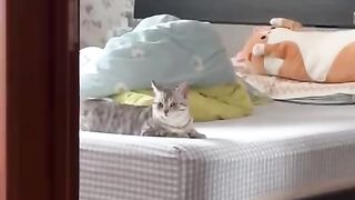 Funny animal-004