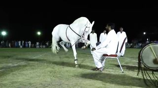 Hourse dance