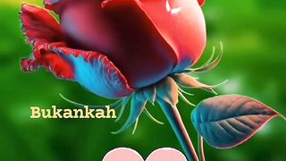 Andai engkau tau