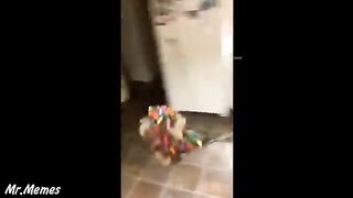Funny tiktok meme 2