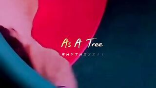 Songs with lyrics 7