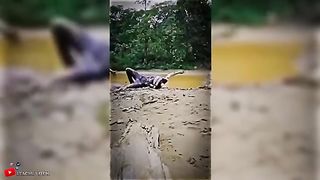 ????BEST MEMES EDITS TIKTOK MEMES FUNNY MOMMENT 4