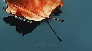 نیو ویڈیو 2